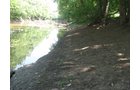 Property photo 11 - 27 Acres offered in 2 Tracts or Combination, Former U.A.W. Hall